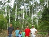 familia-en-bosque-1