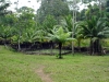 s3010024