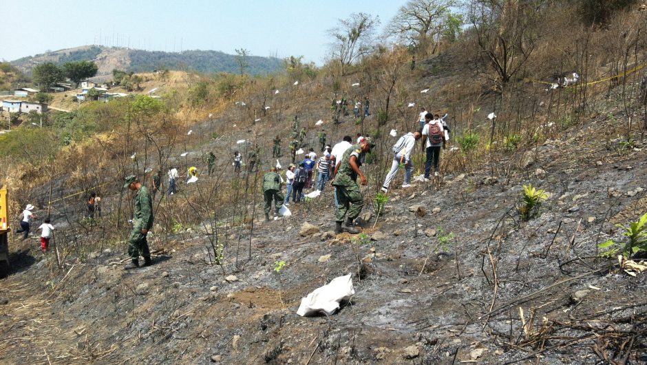 Linde “Adopta un Bosque” en el Cerro Paraíso provincia del Guayas