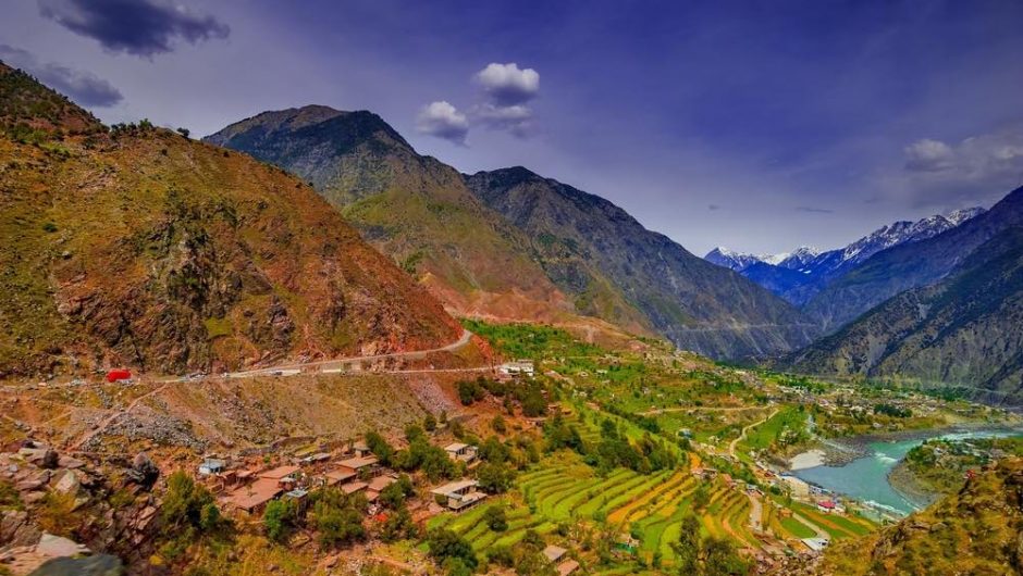 El proyecto de los mil millones de árboles en Pakistán es un éxito