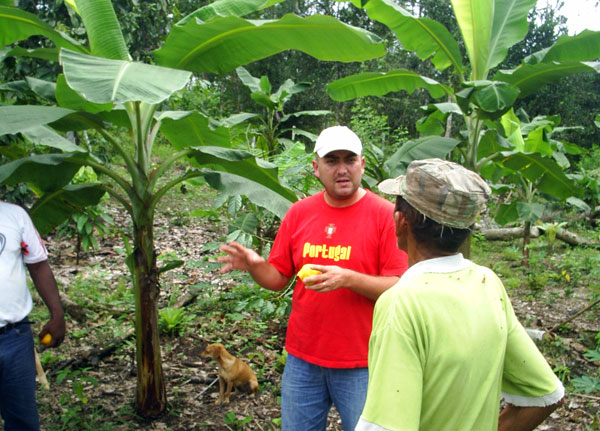Manejo integral de fincas, con énfasis en cacao para cinco comunidades del norte de Esmeraldas