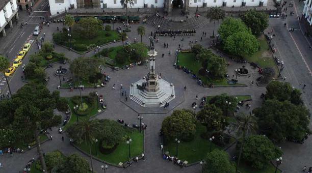 La ciudad de Quito cuenta con 448 árboles patrimoniales