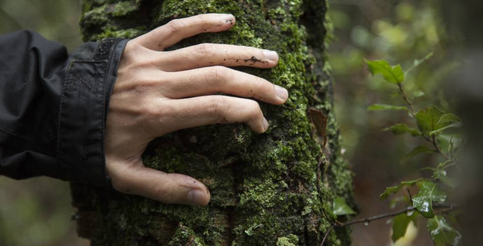 Bosques y educación, catalizadores para transformar nuestro mundo