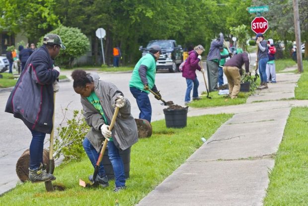 Dallas planta árboles en las rutas estudiantiles para reducir las islas de calor