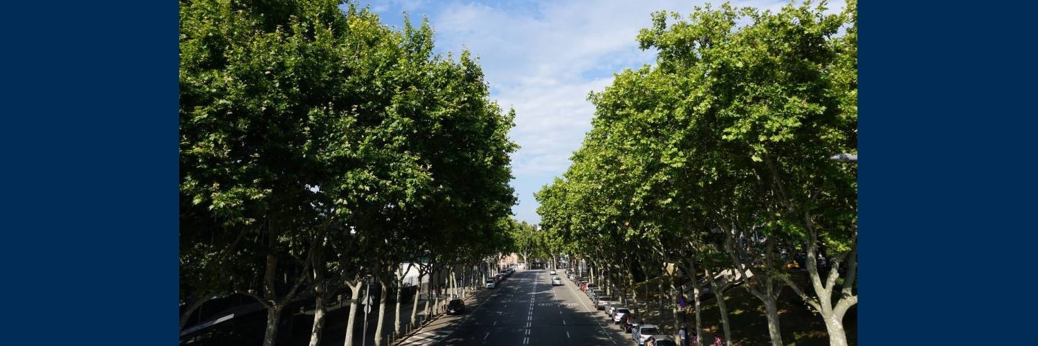 Bosques urbanos para bajar las temperaturas de las grandes ciudades