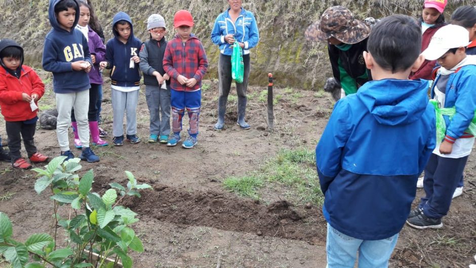 Tercera jornada de plantación de árboles se realizó con la Corporación Maresa