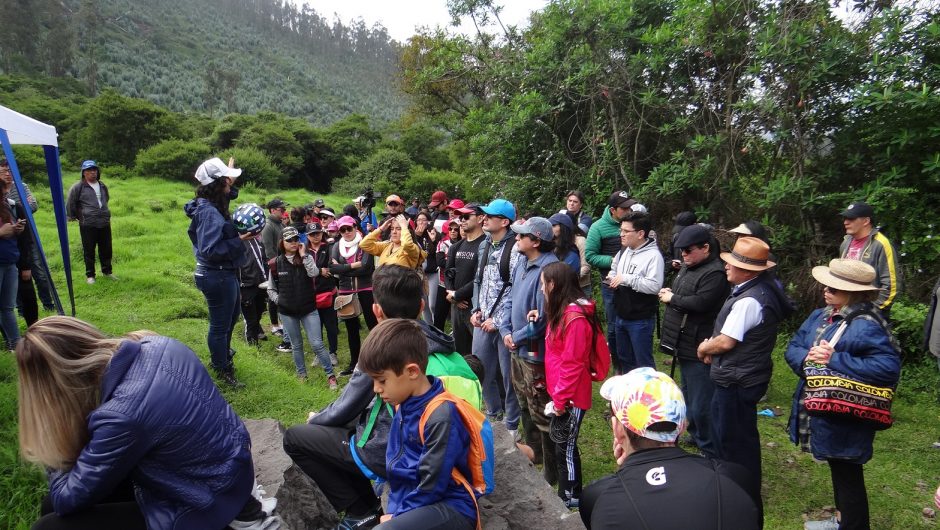 450 especies nativas se plantaron en el Ilaló