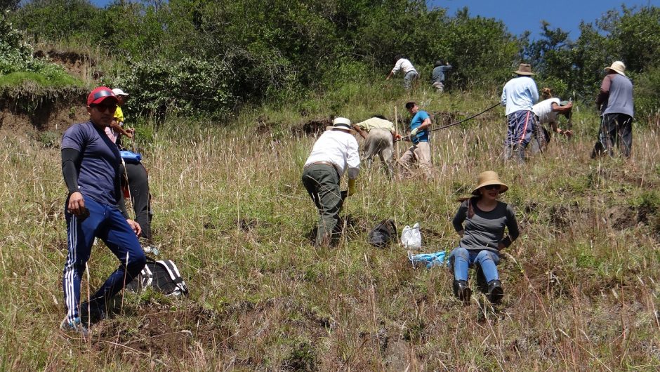 1000 árboles se plantaron en el Ilaló como parte de la iniciativa “Yo quiero plantar un millón de árboles”