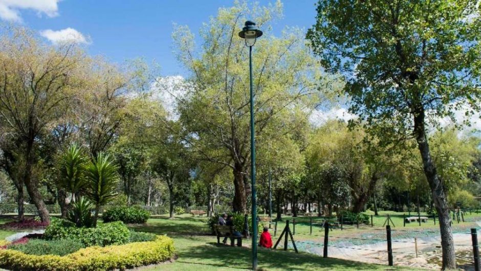 Quito está entre las ciudades más arboladas del mundo